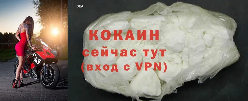 Cocaine FishScale  как найти   Горняк 