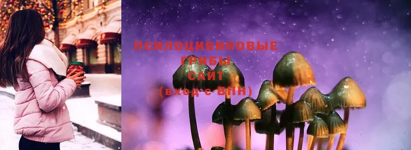 Псилоцибиновые грибы MAGIC MUSHROOMS  мега сайт  Горняк 